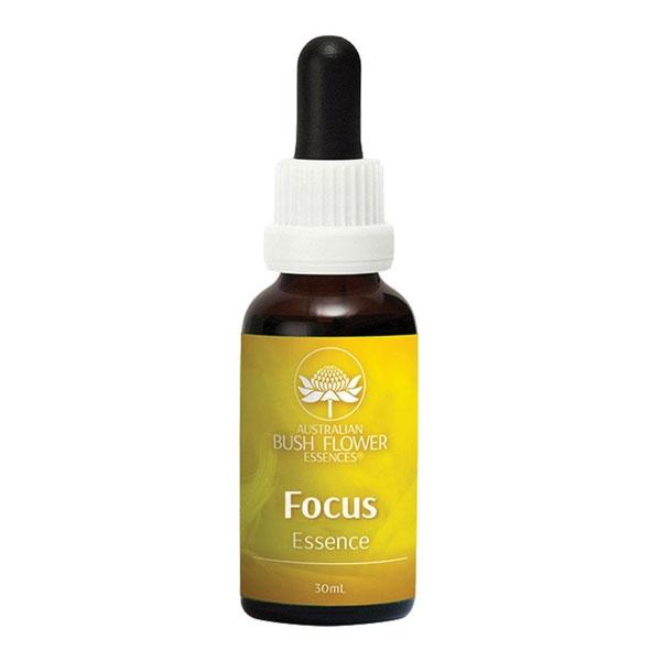 Bush Flower Focus Drops (30ml)