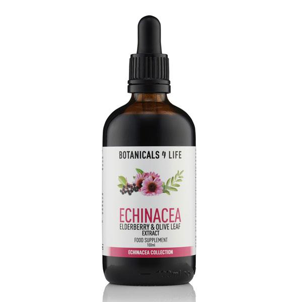 Echinacea, Elderberry & Olive Leaf (100ml)
